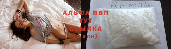 СК Белокуриха