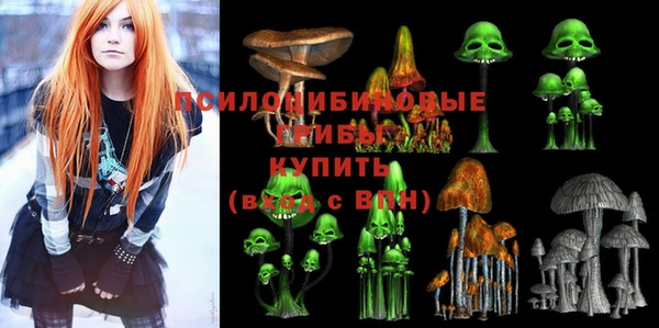 дмт Беломорск