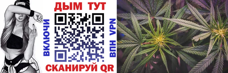 дарнет шоп  Судогда  Бошки Шишки гибрид 